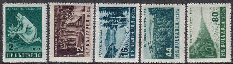 Bulgaria 977-81 MNH - Forests