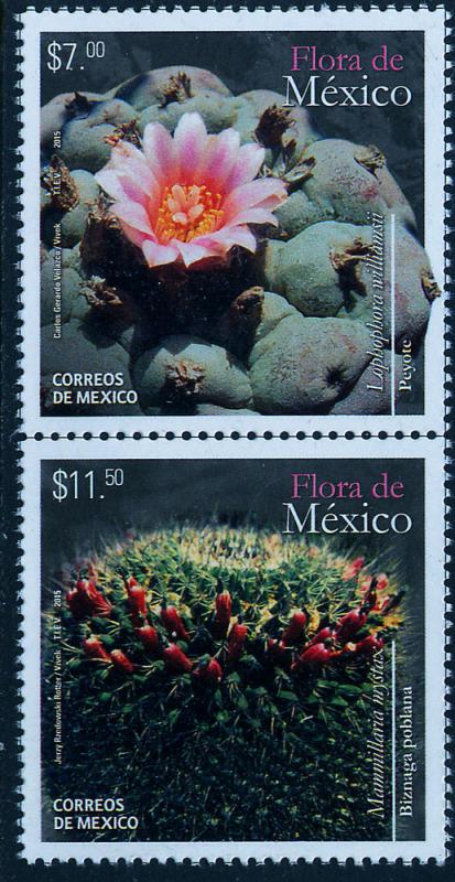 MEXICO 2950a, Flora of Mexico, Peyote & Biznaga. MNH