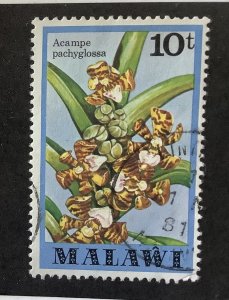 Malawi 1979  Scott 332  used - 10t,  Orchids