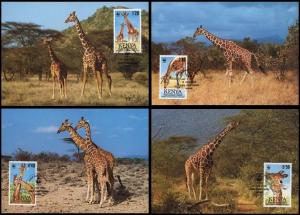 Kenya WWF Reticulated Giraffe 4 official Maxicards