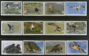 Penrhyn 2018 Birds of Prey Eagle Wildlife 12v High FV MNH # 840