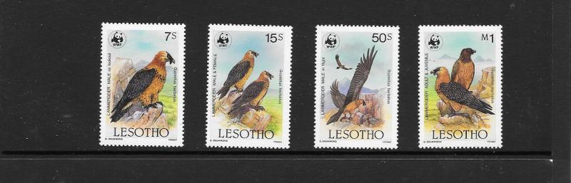 BIRDS-VULTURES - WWF LESOTHO #512-515  MNH