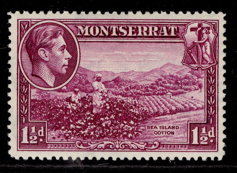 MONTSERRAT GVI SG103a, 1½d purple, M MINT. 