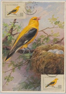 52586 - ROMANIA - POSTAL HISTORY: MAXIMUM CARD - 1959 ANIMALS Birds-