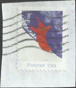 # 5244 Used Peter sliding down Mountain