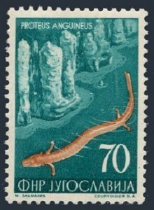 Yugoslavia 408, mint gum damaged. Michel 748. Fauna 1954. Salamander.