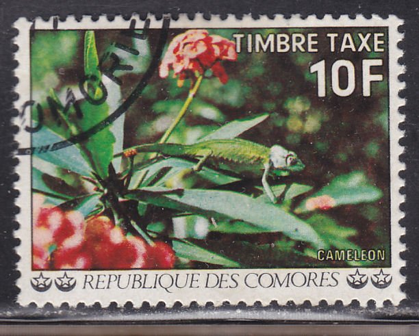 Comoro Islands J9 Flowers 1977