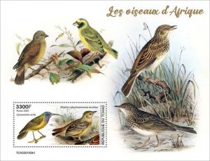 Chad - 2022 Birds of Africa, Flappet Lark - Stamp Souvenir Sheet - TCH220120b1