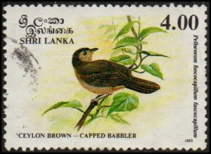 Sri Lanka 1080 - Used - 4r Ceylon Brown-capped Babbler (1993) (cv $0.55)