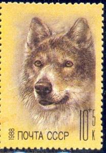 Wolf, Russia stamp SC#B142 MNH