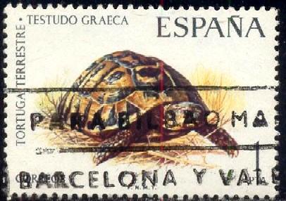 Greek Tortoise, Spain stamp SC#1819 Used