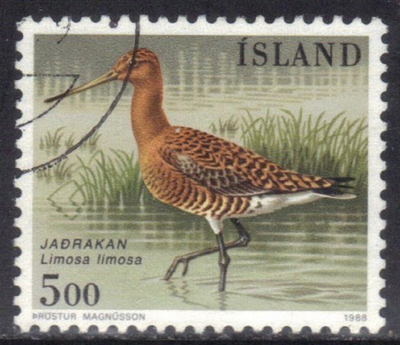 ICELAND   SC# 665 **USED** 5k 1988  BIRD  SEE SCAN