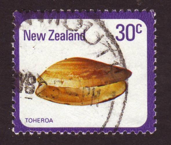 New Zealand 1978 Sc#675, SG#1100 30c Toheroa Shell USED.