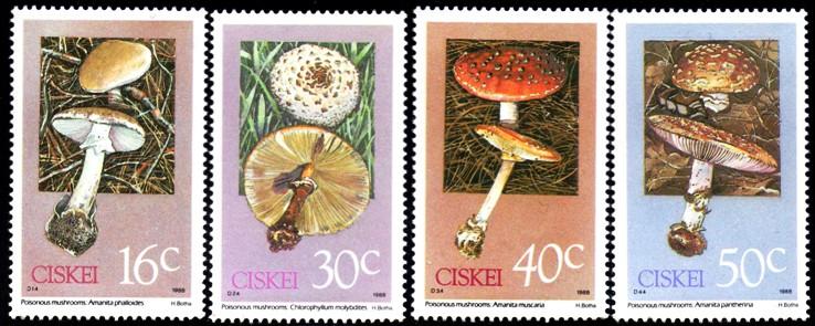 Ciskei - 1988 Poisonous Fungi Set MNH** SG 141-144