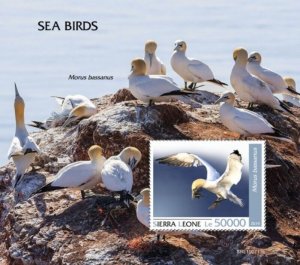 Sierra Leone - 2019 Seabirds on Stamps - Stamp Souvenir Sheet - SRL190713b