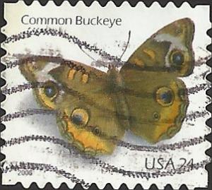 # 4001 USED COMMON BUCKEYE BUTTERFLY