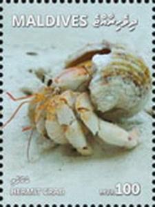 Z08 MLD1801local09a Maldives 2018 Hermit crab MNH ** Postfrisch