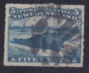 Newfoundland 40 Used 1876 5c Blue Harp Seal Issue