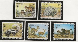 LESOTHO Sc 228-32 NH issue of 1977 - ANIMALS 