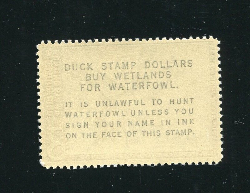 RW29 Pintail Drakes Federal Duck Stamp MNH 1962 