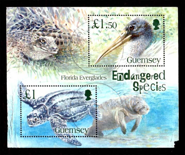 Guernsey 2006 Endangered Species: Turtle, Wood stork S/S £2.50 Scott.892 Used