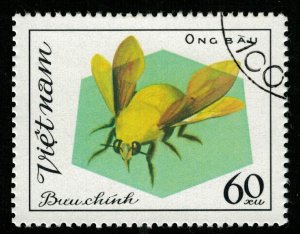 Insect (TS-2301)