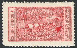 Saudi Arabia 1936 Charity Tax 1/8g scarlet sg345 g-fine unmounted mint, couple
