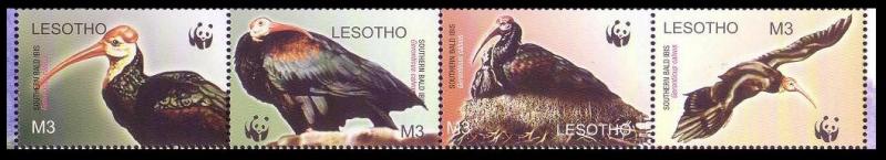 Lesotho WWF Southern Bald Ibis Birds Strip of 4v head right SG#1934-1937