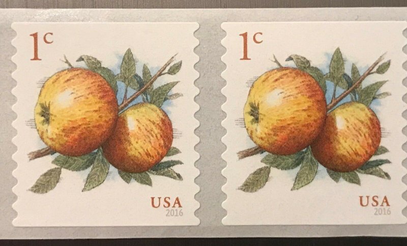 2016 USA #5037 stamp - 1 c Apples Coil - 2 stamps 