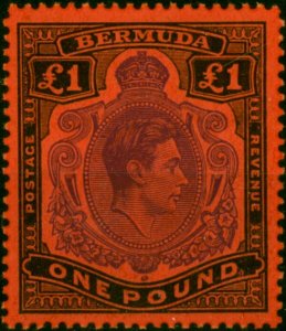 Bermuda 1951 £1 Violet & Black-Scarlet SG121d P.13 V.F MNH (16)