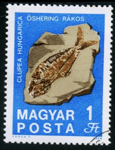 HUNGARY #1992 - USED - 1969 - HUNGARY135DTS4