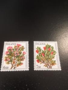 Iceland sc 593-594 MNH Flower