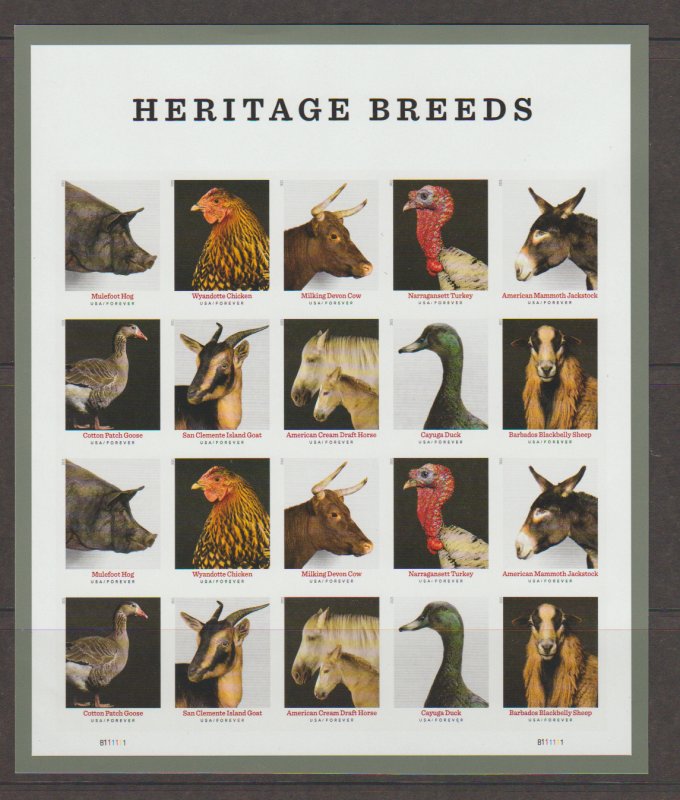 US 5583-5592 Imperf Without / No Die Cut NDC 2021 Heritage Breeds Pane BUMPING