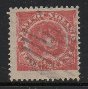 Newfoundland Sc 56 1897 1/2c rose red Dog stamp mint