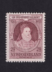 Newfoundland,  Scott 224, Mint LHR,  F-VF