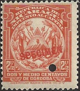 NICARAGUA SPECIMEN