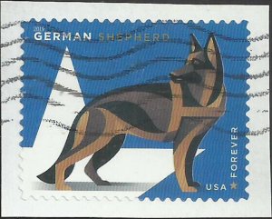# 5405 Used Military Working Dogs German Shepherd