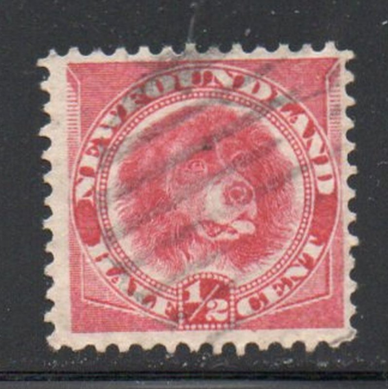 Newfoundland Sc 56 1887 1/2c rose red Dog stamp used