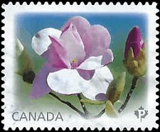 CANADA   #2625 USED (5)