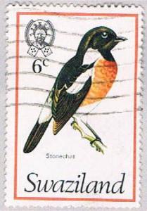 Swaziland 249 Used Stonechat 1976 (BP2602)