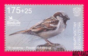 KYRGYZSTAN 2022-2023 Nature Fauna Bird of Year House Sparrow 1v Mi KEP 188 MNH