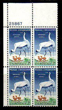 US -1957- WHOOPING CRANES - MINT - PLATE # BLOCK!