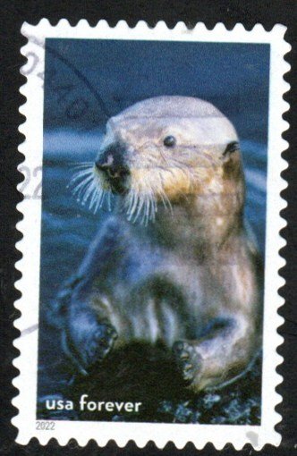 5713j - (60c) - National Marine Sanctuaries - 10 of 16 - USED Single