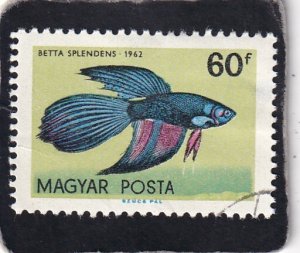 Hungary    #    1440     used