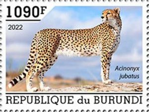 Burundi - 2022 Cheetahs on Stamps - Stamp - BUR2201037a