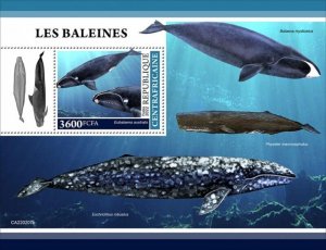 Central Africa - 2022 Southern Right Whale - Stamp Souvenir Sheet - CA220207b