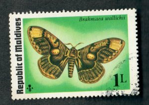 Maldive Islands #584 Butterflies used single