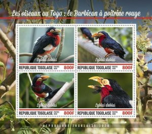 2020/10- TOGO - BIRDS BEARDED BARBET        4V    MNH **