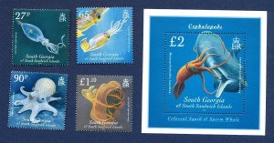 SOUTH GEORGIA - # 398-402; SG 487/MS491 - MNH - marine life, cephalopods - 2009