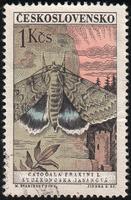 Czechoslovakia SG#1263 Used - 1961 1k.  - Butterflies